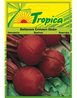 Beetroot Seeds By Tropica