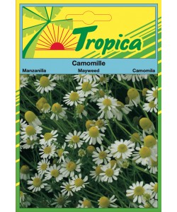 Chamomile Seeds By Tropica