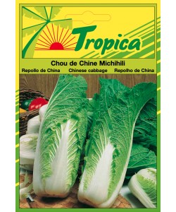 Michihili Chinese Cabbage Seeds By Tropica