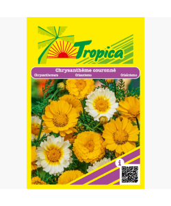 Chrysanthemum Flowering Seeds By Tropica