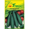 Cucumber Seeds (Marketer) By Tropica