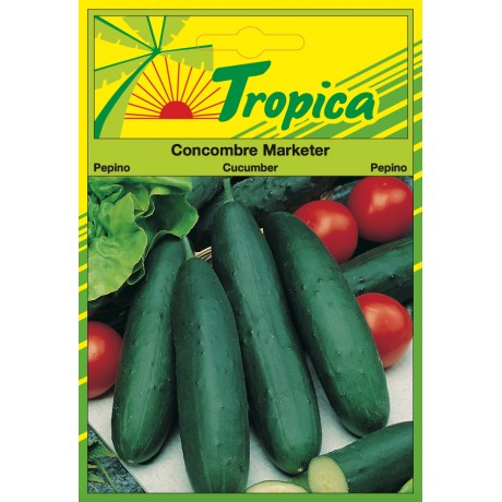 Cucumber Seeds (Marketer) By Tropica