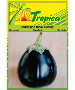 Eggplant (Black Beauty) Seeds By Tropica