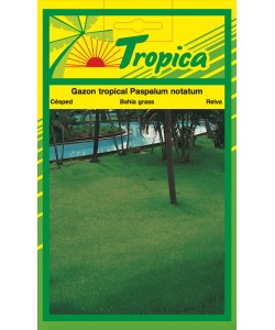 Bahia Grass Seeds By Tropica