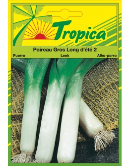 Leek (Summer Long) Seeds By Tropica