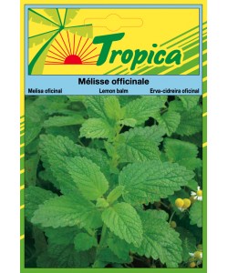 Lemon Balm Seeds By Tropica