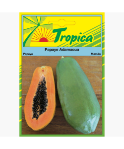 Papaya ADAMAOUA Seeds By Tropica