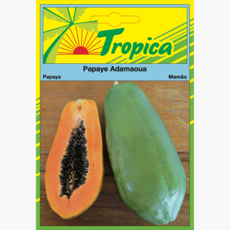 Papaya ADAMAOUA Seeds By Tropica