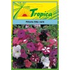 Petunia Seeds By Tropica