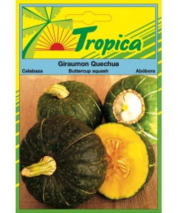 Pumpkin Seeds (Buttercup) By Tropica