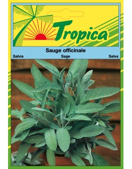 Sage Seeds By Tropica
