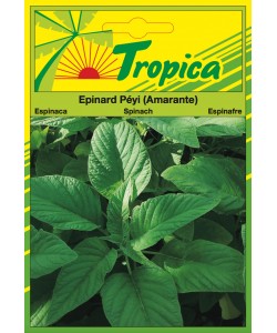 Spinach (Amarante) Seeds By Tropica