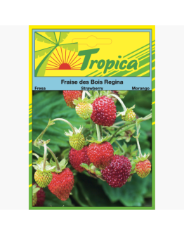 Strawberry Seeds By Tropica Fraise des Bois 'Regina'