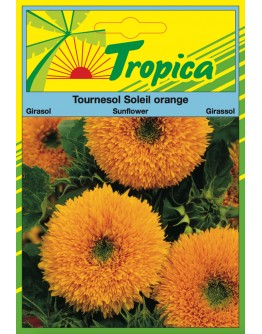 Sunflower (Soleil Orange) Seeds By Tropica