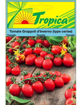 Tomato (Grappoli D'Inverno) Seeds By Tropica