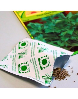 Spring Onion Seeds By Tropica