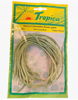 Long Bean Seeds By Tropica (50g per pack)