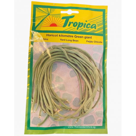 Long Bean Seeds By Tropica (50g per pack)