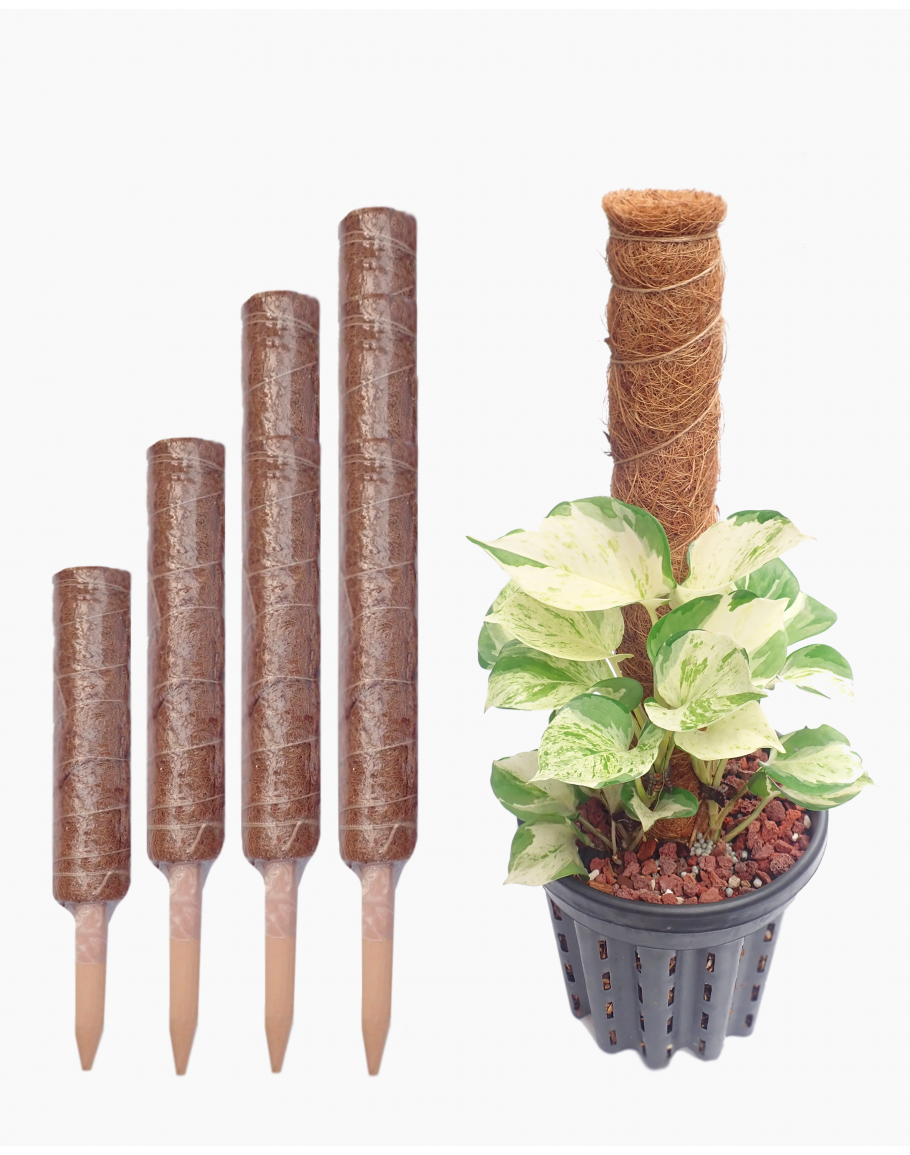 Coir Moss Plant Support Pole Extendable Coco Pole Coco Coir Stick