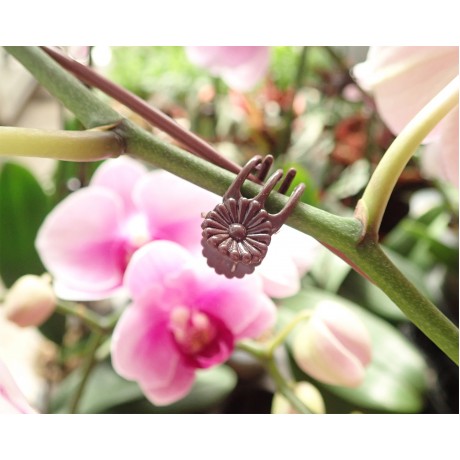 Plant Clips for Orchids or Vines (10pcs)