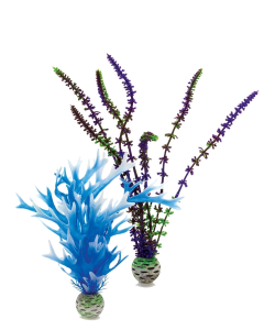 Plant Set Medium Blue & Purple by biOrb