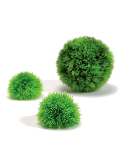 Aquatic Topiary Ball Green by biOrb