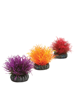 Aquatic Colour Balls Fluffy by biOrb
