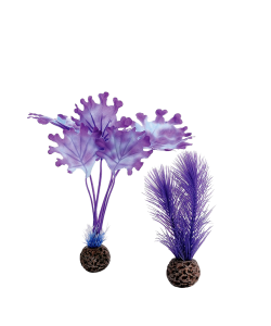Kelp Set small Purple by biOrb