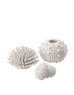 Sea Urchins Set White by biOrb