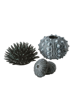 Sea Urchins Set Black by biOrb
