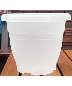 Ø26cm x HT21.5cm Translucent Pot 260