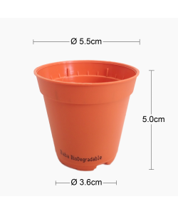 BABA Small Pot for Germination or Mini Plants (1 x 12)