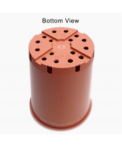 Deep Rose Pot (Italy)