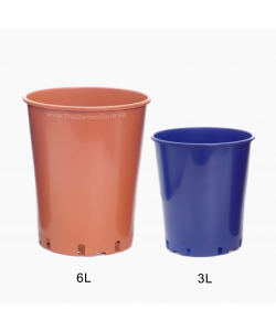 Deep Rose Pot (Italy)