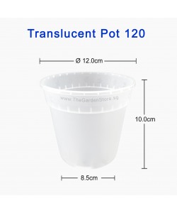 (120mmØ x 100mmH) Translucent Clear Pot 120