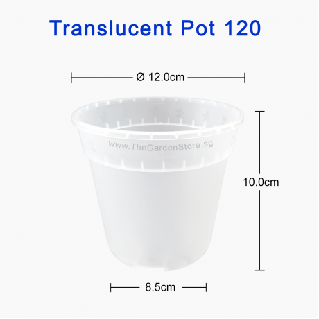 (120mmØ x 100mmH) Translucent Clear Pot 120