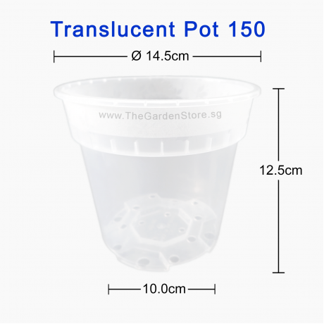 (145mmØ x 125mmH) Translucent Clear Pot 150