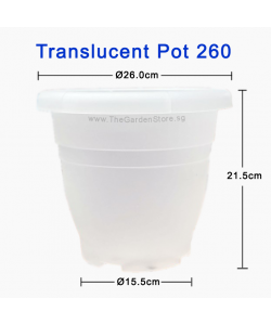 Ø26cm x HT21.5cm Translucent Pot 260