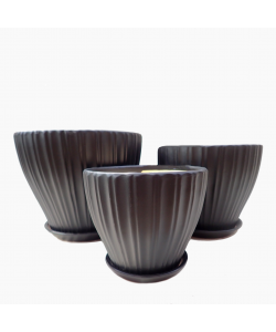 Tivoli Black Shell Design Ceramic Pot