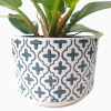 Adelaide Shallow Ceramic Pot