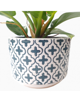 Adelaide Shallow Ceramic Pot