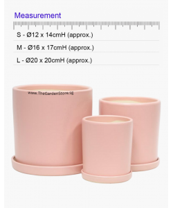 Como Pink Ceramic Pot includes matching saucer