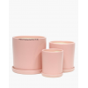 Como Pink Ceramic Pot includes matching saucer