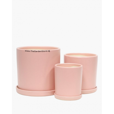 Como Pink Ceramic Pot includes matching saucer