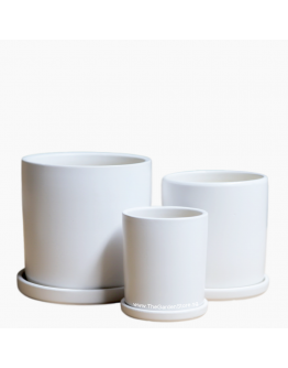 Como White Ceramic Pot includes matching saucer