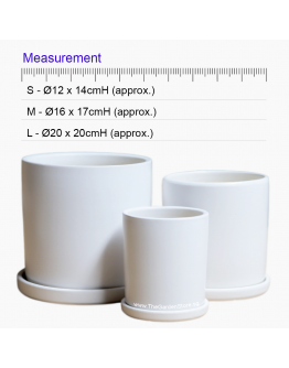 Como White Ceramic Pot includes matching saucer