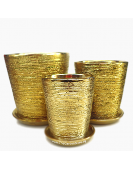 Iseo Gold Galvanized Brushes Ceramic Pot includes free saucer