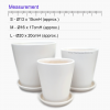 Iseo Minimalist White Ceramic Pot Glossy Finish includes free saucer