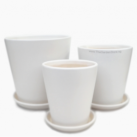 Iseo Minimalist White Ceramic Pot Glossy Finish includes free saucer