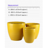 Line Design Yellow Ceramic Pot